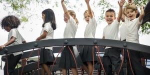 Understanding your Social-Emotional Wellbeing survey data