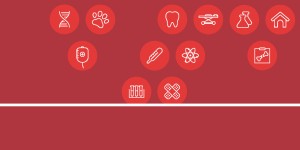 GAMSAT exam to move online