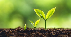 New to the ACER Data Explorer: Predicted scale score gain