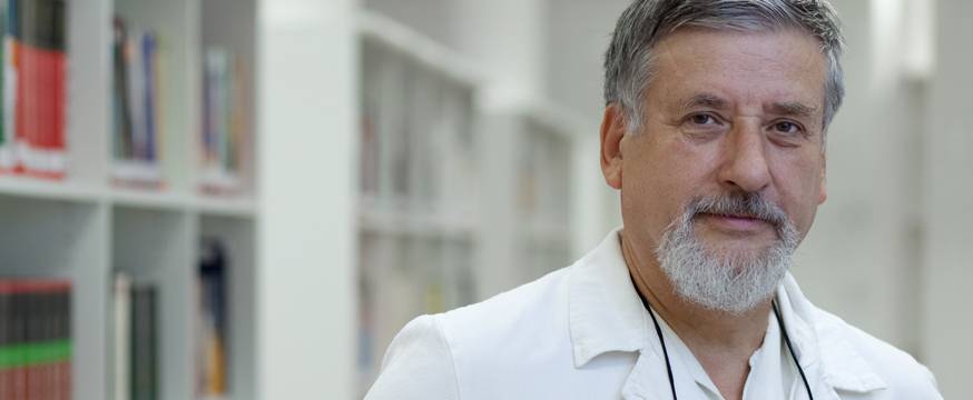 Researchers’ career pathways and mobility patterns