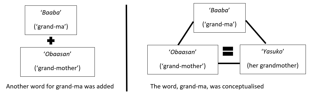 Diagram illustrating the additional understanding of grandmother.