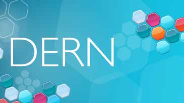 DERN - Digital Education Research Network