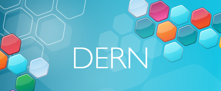 DERN - Digital Education Research Network