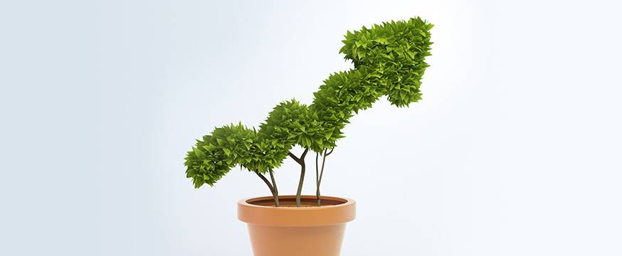 Growing attainment in higher education