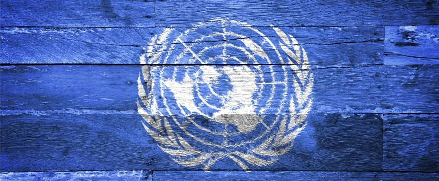 Partner focus: UNICEF and UNESCO