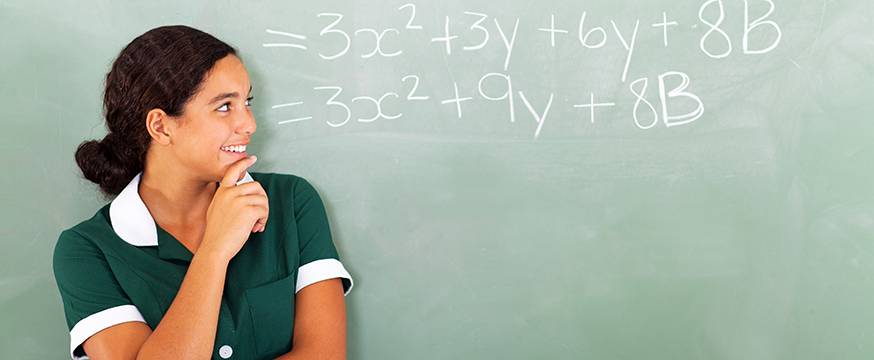 Assessing maths literacy: Learning from the PISA experience