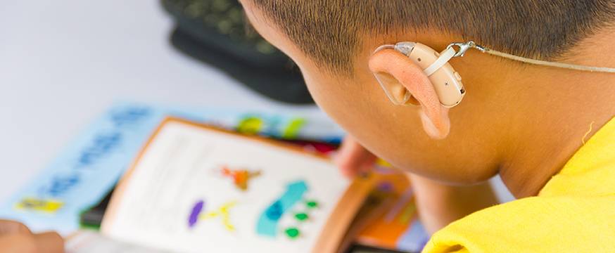 Learning needs in the deaf education sector