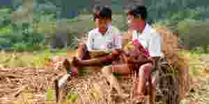A needs-based early childhood care and development model