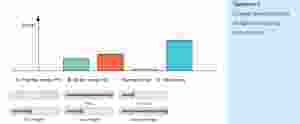 Assessment of online learning: A world of possibilities