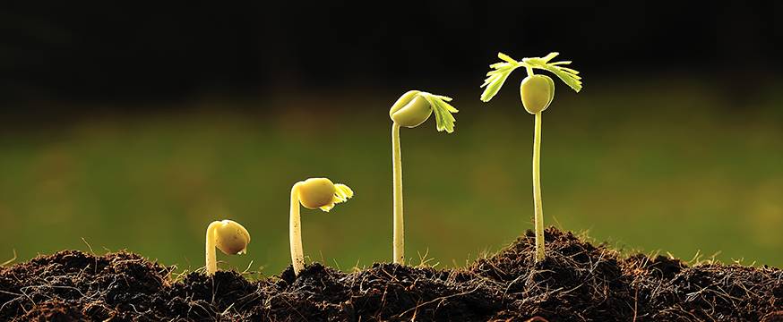 STEM growth: Getting students interested in the sciences