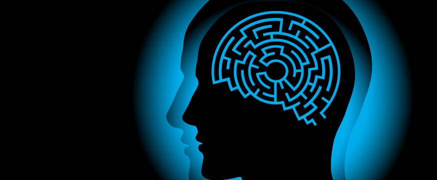 Understanding the brain, and learning about learning