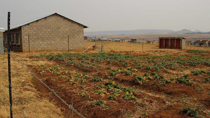 Garden outside of classroom in the Kindom of Lesotho