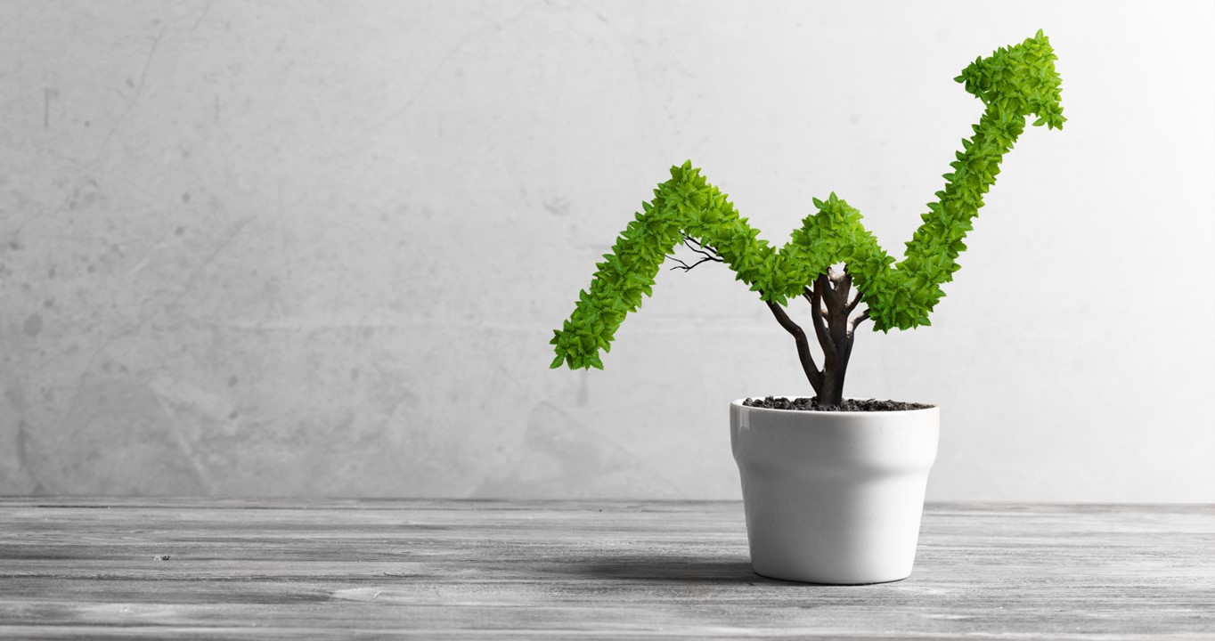 A leafy arrow rising upwards is growing out of a pot.